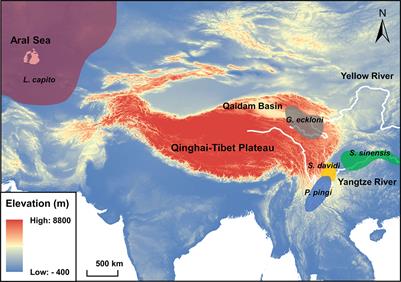 Factors limiting the spread of middle- and low-altitude fishes to the Qinghai-Tibet plateau